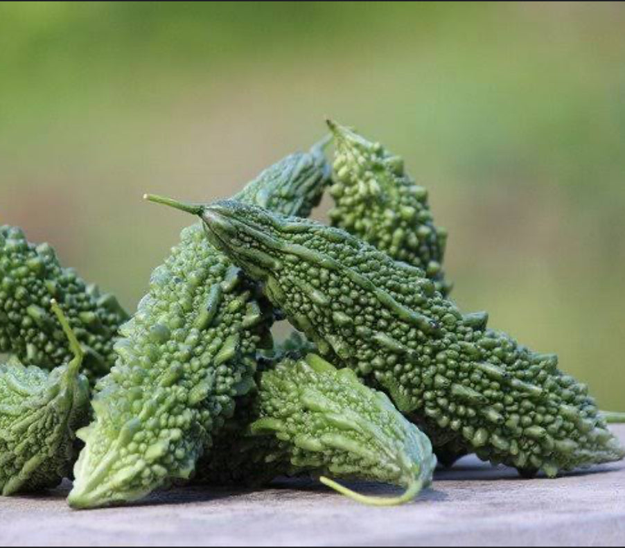 Frozen Karela 300gx24