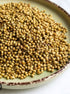 Coriander Seeds 200gx20