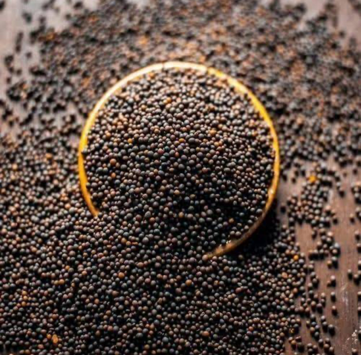 Mustard Seeds Large 200gx20