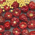 Chilli Whole Round 100gx20